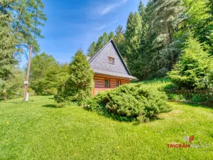 Prodej chaty, Letohrad - Červená, 120 m2