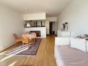 Pronájem bytu 1+kk, Praha - Motol, Jeřabinová, 43 m2