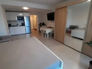 Pronájem bytu 1+kk, Praha - Žižkov, Hartigova, 37 m2