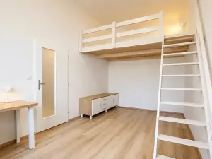 Pronájem bytu 2+kk, Praha - Nusle, Boleslavova, 37 m2