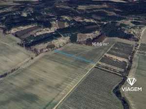 Prodej pole, Konecchlumí, 1686 m2