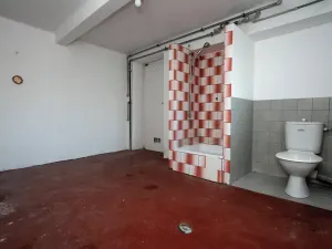 Prodej bytu 2+1, Vysoké Mýto, 80 m2
