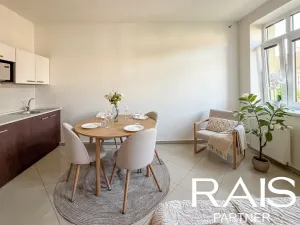 Prodej bytu 1+kk, Brno, Vranovská, 29 m2
