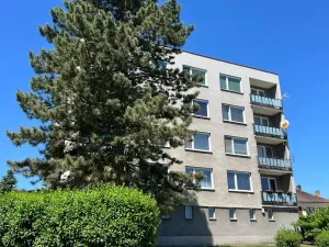 Prodej bytu 4+1, Milevsko, E. Destinové, 91 m2