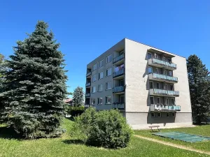 Prodej bytu 4+1, Milevsko, E. Destinové, 91 m2