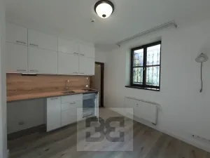 Pronájem bytu 1+kk, Praha - Vinohrady, Balbínova, 14 m2
