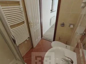 Pronájem bytu 1+kk, Praha - Vinohrady, Balbínova, 14 m2