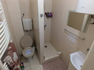 Pronájem bytu 1+1, Opava, Těšínská, 50 m2