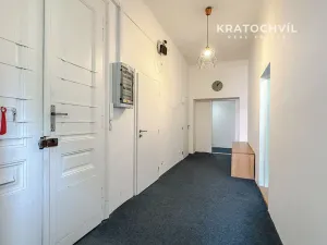 Prodej bytu 3+1, Brno, Údolní, 115 m2