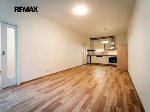 Pronájem bytu 2+kk, Brno, Přadlácká, 150 m2