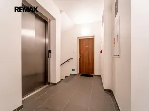 Pronájem bytu 2+kk, Brno, Přadlácká, 150 m2