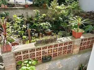 Pronájem bytu 3+1, Praha - Vinohrady, Budečská, 75 m2