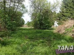 Prodej pozemku pro bydlení, Mladějov, 2297 m2