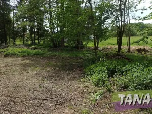 Prodej pozemku pro bydlení, Mladějov, 2297 m2