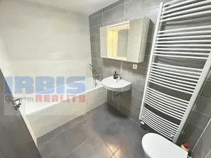 Pronájem bytu 2+kk, Plzeň, Papírnická, 50 m2