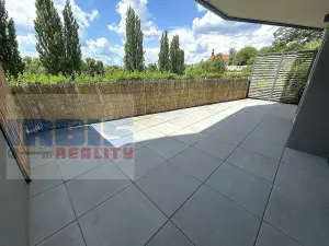 Pronájem bytu 2+kk, Plzeň, Papírnická, 50 m2