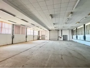 Prodej výrobních prostor, Řídký, 1400 m2