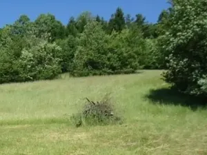 Prodej louky, Vojnův Městec, 9000 m2