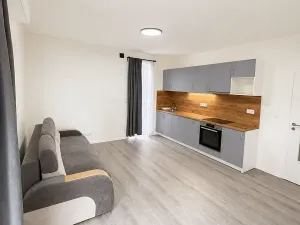 Pronájem bytu 1+kk, Kladno, Pavlisova, 30 m2