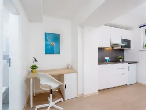 Prodej bytu 1+kk, Praha - Krč, Čerčanská, 20 m2