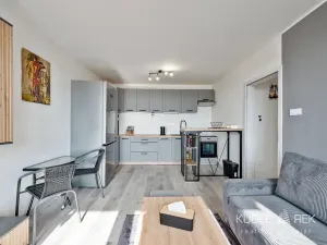 Prodej bytu 2+kk, Tábor, Berlínská, 46 m2