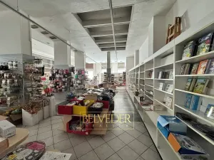 Pronájem obchodního prostoru, Teplice, Školní, 441 m2