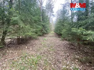 Prodej lesa, Volfířov - Brandlín, 5958 m2
