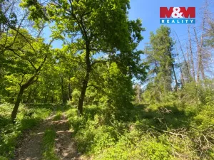Prodej lesa, Kropáčova Vrutice - Sušno, 15167 m2