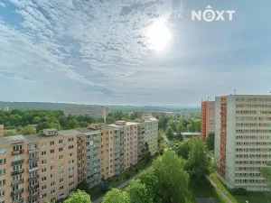 Pronájem bytu 1+1, Ostrava, Svojsíkova, 28 m2