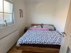 Pronájem rodinného domu, Letonice, 70 m2