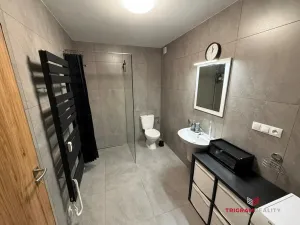 Pronájem bytu 1+kk, Sadová, 38 m2