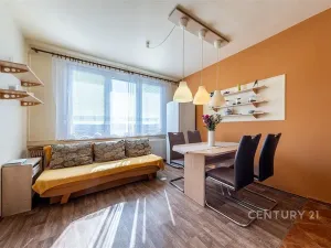 Prodej bytu 1+1, České Budějovice - České Budějovice 2, J. Opletala, 36 m2