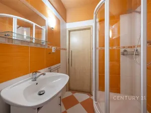 Prodej bytu 1+1, České Budějovice - České Budějovice 2, J. Opletala, 36 m2
