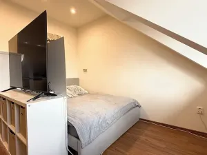 Prodej bytu 3+kk, Krnov, Sv. Ducha, 84 m2