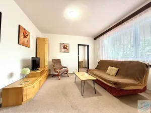Prodej bytu 2+1, Krnov, Dvořákův okruh, 44 m2
