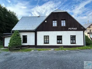 Prodej chalupy, Ludvíkov, 510 m2