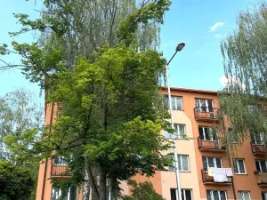 Prodej bytu 3+kk, Ostrava - Poruba, Gen. Sochora, 61 m2