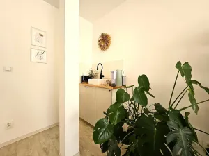 Pronájem komerční, Brno, Masarykova, 23 m2
