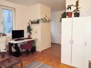 Pronájem bytu 1+kk, Brno, Příční, 42 m2