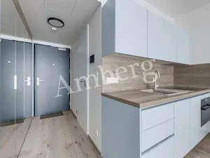 Pronájem bytu 1+kk, Praha - Karlín, Sokolovská, 28 m2