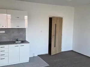 Pronájem bytu 1+kk, Praha - Kamýk, U Kamýku, 32 m2