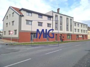 Pronájem obchodního prostoru, Syrovice, 88 m2