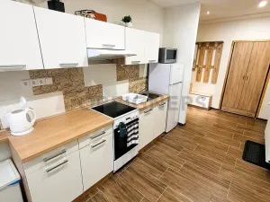 Pronájem bytu 1+1, Brno, Kotlářská, 41 m2