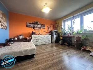 Prodej bytu 2+1, Litovel, 56 m2