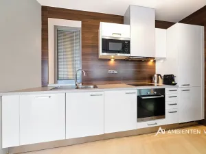 Pronájem bytu 2+kk, Brno, Kopečná, 87 m2