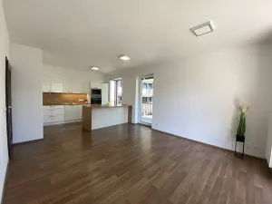 Pronájem bytu 2+kk, Brno, Kollárova, 85 m2
