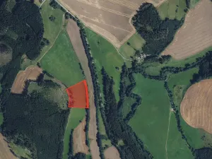 Prodej louky, Borovnice, 16910 m2