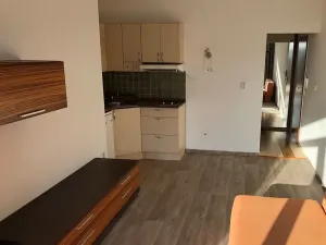 Pronájem bytu 1+kk, Olomouc, Mošnerova, 27 m2
