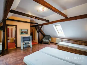 Pronájem bytu 1+kk, Jindřichův Hradec, Svatojánská, 59 m2