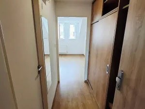 Pronájem bytu 1+kk, Praha - Žižkov, Jeseniova, 20 m2